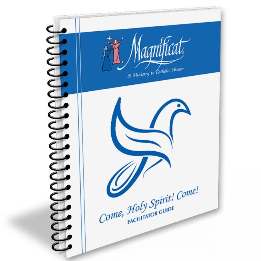 Life in the Spirit Facilitator Guide w/ DVDs