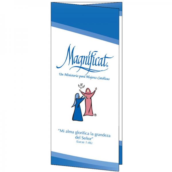 Promotional Brochure - Spanish (Pack of 100)